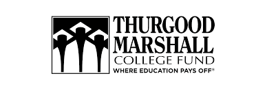 (BPRW) Thurgood Marshall College Fund team member pens new book about artificial intelligence and the culture | Black PR Wire, Inc.