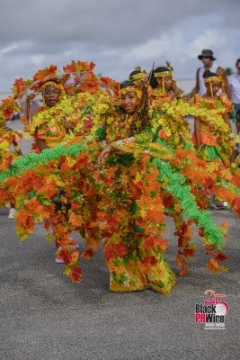 (BPRW) Miami Carnival’s Junior Carnival 2025 Delivers Culture, Color, and Community | Tech Zone Daily